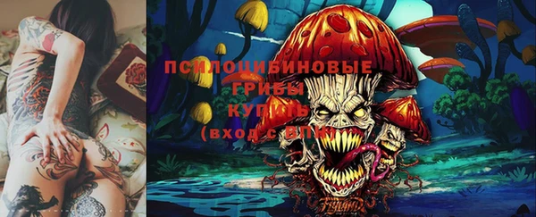 тгк Коряжма