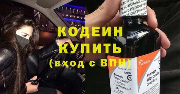 сатива Костерёво